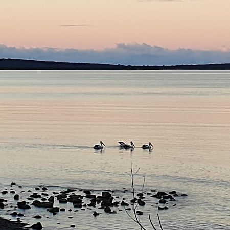 Port Lincoln Caravan Park North Shields エクステリア 写真