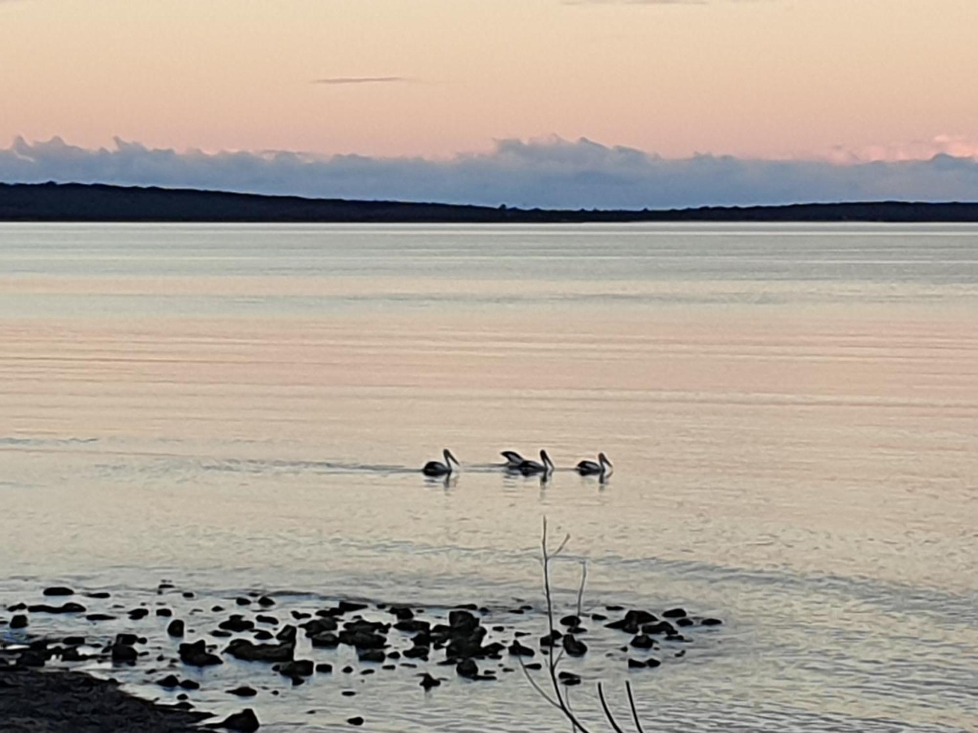 Port Lincoln Caravan Park North Shields エクステリア 写真