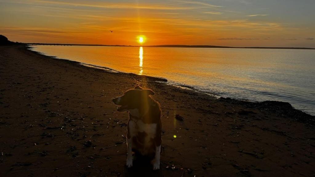 Port Lincoln Caravan Park North Shields エクステリア 写真